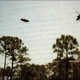 Image for article titled A Collection of UFO Photographs from 1870 to 2008